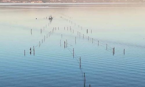 luci-sul-trasimeno-2019-26