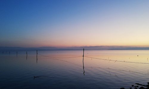 IMG-20191126-WA0000